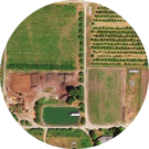 Lazy J Tree Farm Avatar